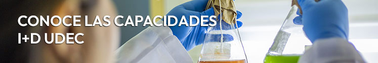  Conoce las capacidades I+D UDEC